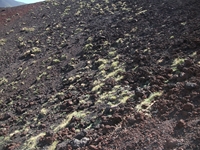 nti Silvestri12052012 002